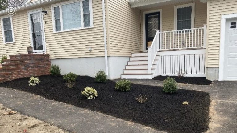 Popular Softscape Landscaping Ideas