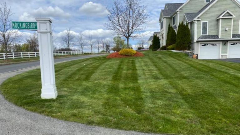 The Fall Is A Great Time To Give Your Lawn Some Attention