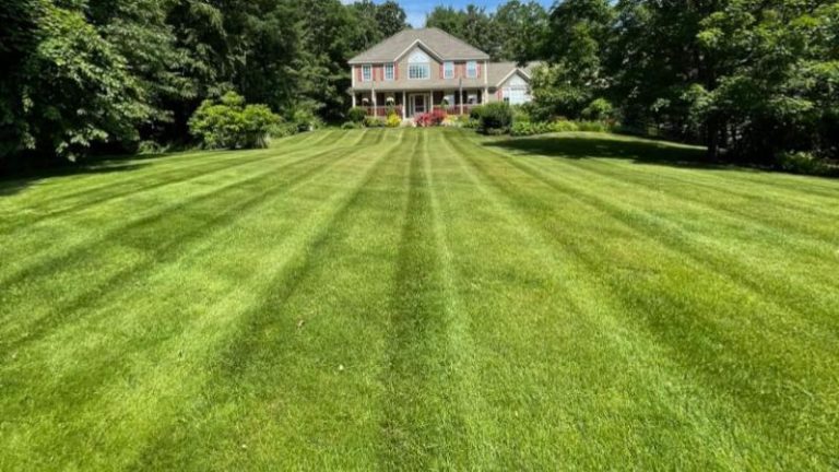 Who Is The Best Lawn Care Company In Dracut, Massachusetts?