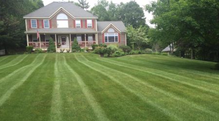 lawn care services