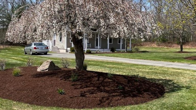 Why You Should Add Fresh Mulch to Your Landscape & Garden Beds