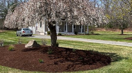 mulch installation